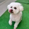 さ's profile picture