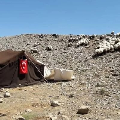 Mehmet YÖRÜKOĞLU's profile picture