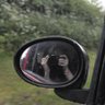 Profilbild von Elsie ⛈🌪️🏎️