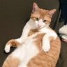 Profilbild von SoKi