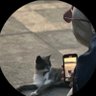 Flânerdevâ 🐦⬛'s profile picture