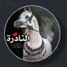 Фото профиля النادرة الشمرية