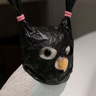 maetooksataban's profile picture