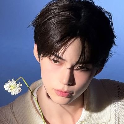 loewehaos's profile picture