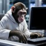 Datacentremonkey profil fotoğrafı