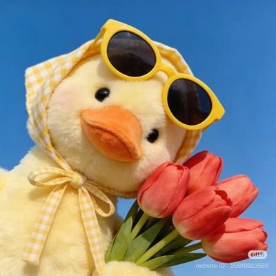 civciv tarım bakanlığı's profile picture