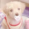 Profilbild von ⋆˙⟡ jade ₊˚⊹ 𐂯
