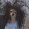Profilbild von Bubbles