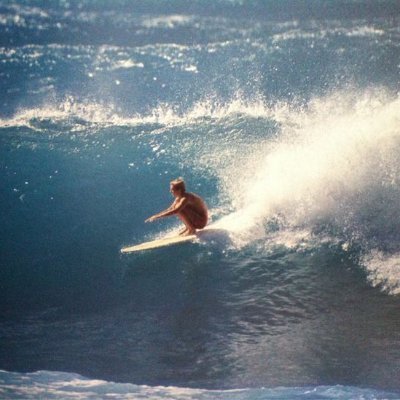 wvonbohr's profile picture