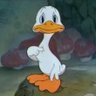 Фото профиля FUPATO