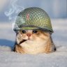 𝔅𝔩𝔲𝔢𝔐𝔬𝔬𝔫 𝔚𝔞𝔯𝔯𝔦𝔬𝔯's profile picture