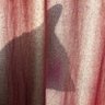ThatWasntButter profil fotoğrafı