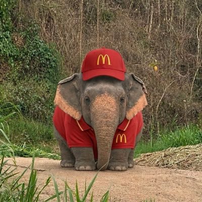 0oXOX_XOXo0's profile picture