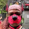 Profilbild von Alpha Liam 🔜 Folsom SF