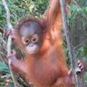 🤠 profil fotoğrafı