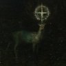 gabor's profile picture