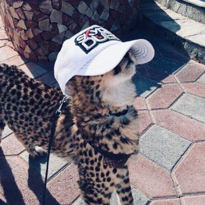 Mr ashen's profile picture