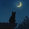 İlter / ایلتر 的头像