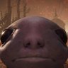 Profilbild von Jay6K