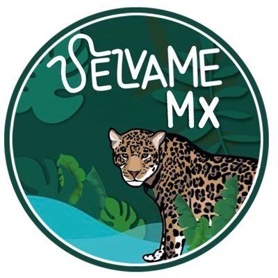 SelvameMX's profile picture