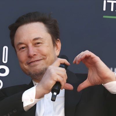 ELON MUSK's profile picture