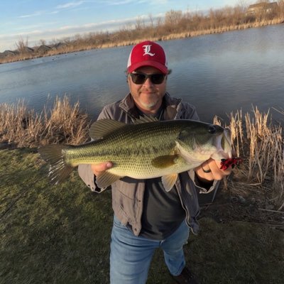 Buffalucci's profile picture