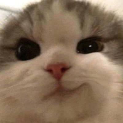 มุเร้ก ☃︎'s profile picture