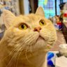 momo profil fotoğrafı