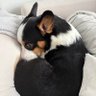 Builx's profile picture