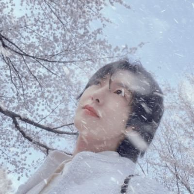 tri tu wan halsuisseo🕺🏻| Echoes Between Us #ROLO's profile picture