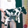 Profilbild von mamiyanen