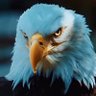 david635's profile picture
