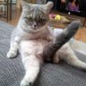 ヤコ profil fotoğrafı