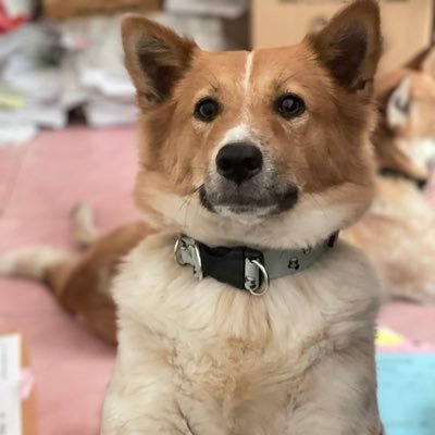 A_platonic_Love's profile picture