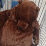 みのり 的头像