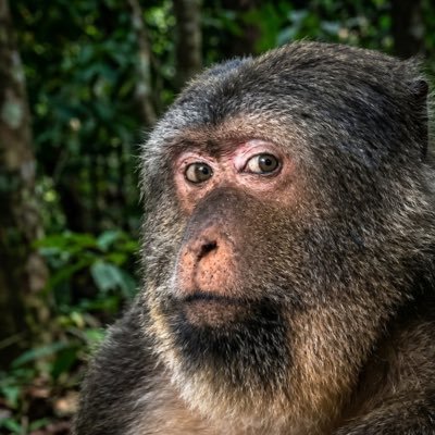 osamaboyz18's profile picture