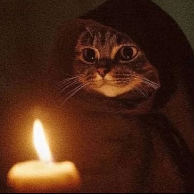 sauser101315's profile picture