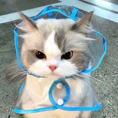 ด.ญ.นอวอ˚⊹ ⸝⸝'s profile picture