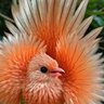 suthep's profile picture