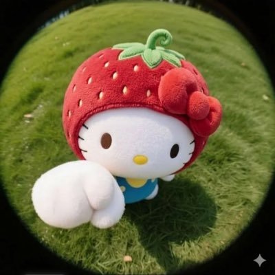 pploysry ◡̈'s profile picture