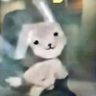 Profilbild von Primuez