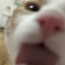 Profilbild von zzzzzz