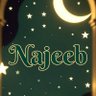 Фото профиля Muhammad Najeeb tipu
