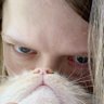 орецкий грех's profile picture