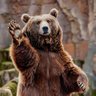 Фото профиля BEAR