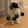 Фото профиля WËST is HOPË