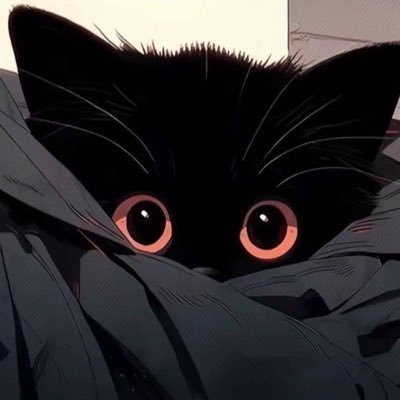 张张包🍞's profile picture