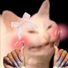 slopboy's profile picture