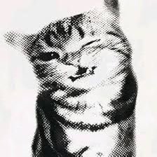 meow ཐི༏ཋྀ's profile picture