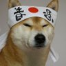 rmdygg 的头像